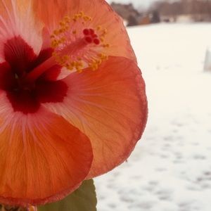 Meet your Posher, Tena